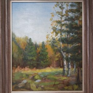 Пейзаж посёлок Новая Ельня